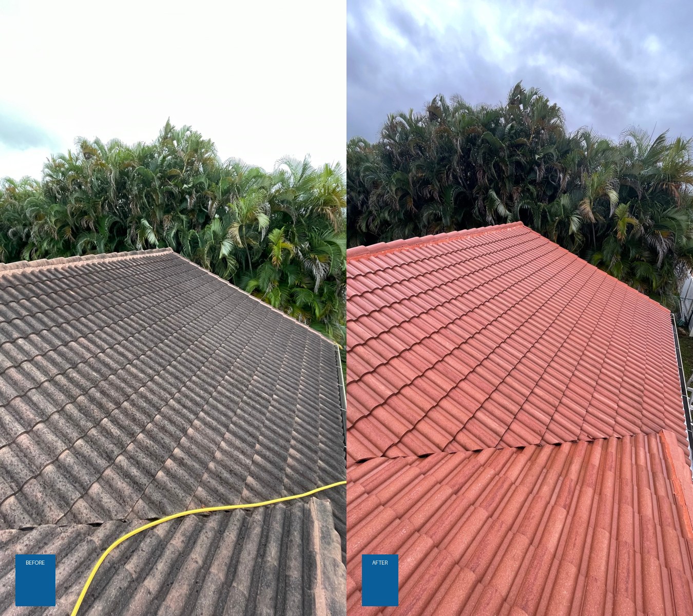 Soft Roof Wash